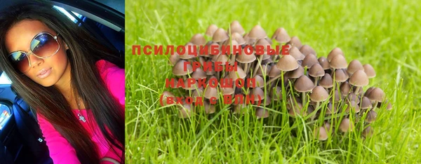меф Пестово