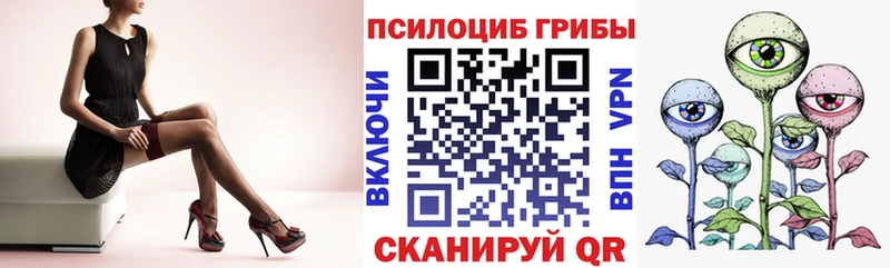 дарнет шоп  OMG сайт  Псилоцибиновые грибы MAGIC MUSHROOMS  Курлово 